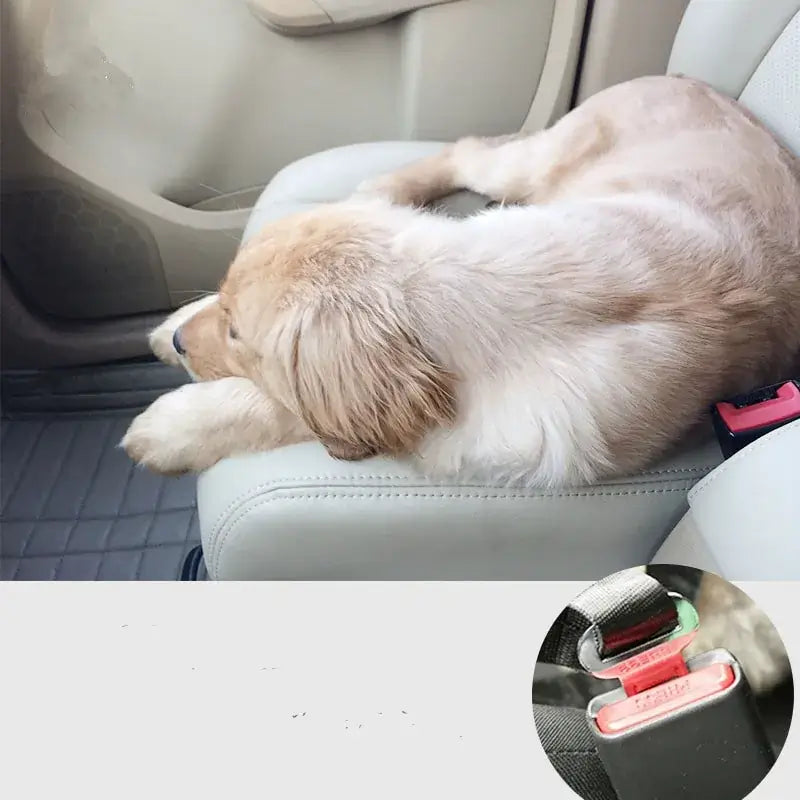 Secure your pet’s comfort and safety on every journey with our unique, adjustable Pet Car Safety Belt, making travel worry-free for you and joyful for them