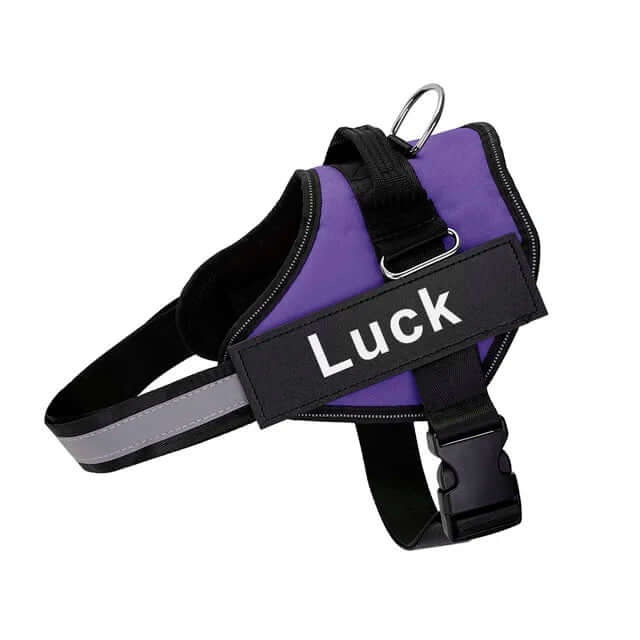 Purple no-pull dog harness with adjustable straps, reflective stitching, quick-release buckle, and "Luck" label for safe, comfortable walks