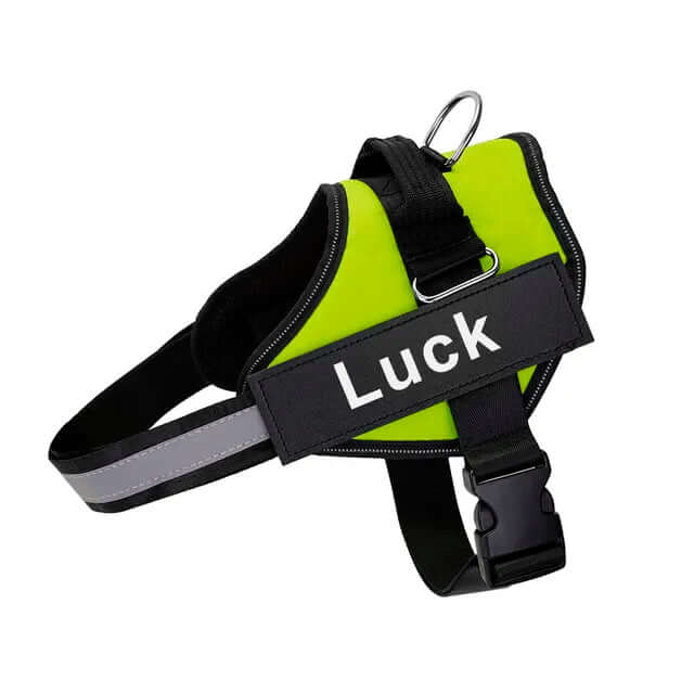 Bright green No-Pull Dog Harness with customizable fit, reflective straps, stainless steel D-ring, quick-release buckle, and humane control design