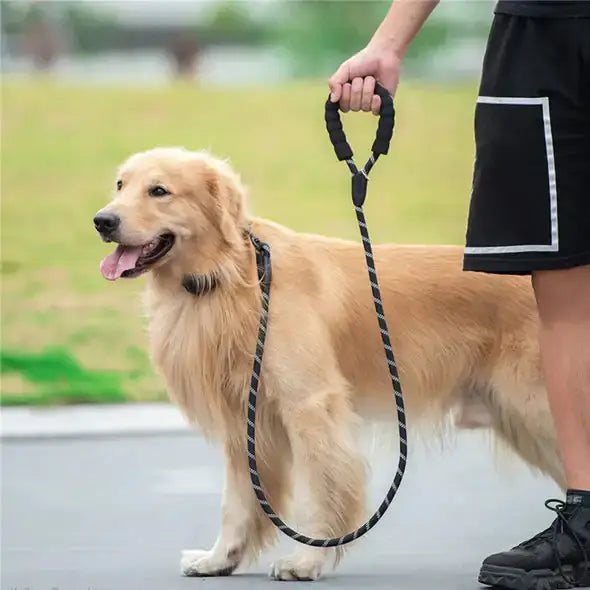 Light up your night walks with our Reflective Dog Leash—combining unparalleled visibility, comfort, and style for you and your furry friend